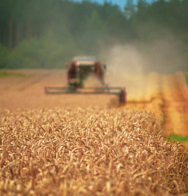 pexels nikita karpovich 3861361 5732561